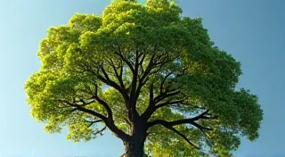 Unearthing 'A Tree is Nice' by Janice Lee Carey: A Celebration of Nature's Simplicity